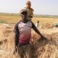 L’entreprenariat agricole des jeunes sénégalais : exode urbain vs exode rural