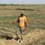 Faire de l’agro-entreprenariat une priorité  pour les jeunes au Sénégal
