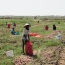La question des exploitations agricoles familiales Sénégal se pose toujours au Sénégal