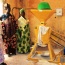 Emploi des jeunes et femmes en agriculture, le Sénégal parmi les derniers en Afrique de l’Ouest